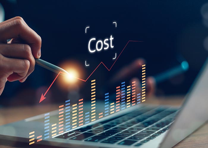 Cost Efficiency