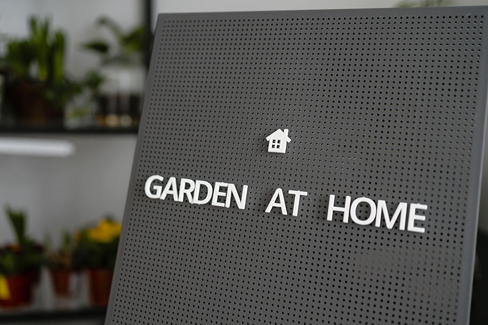 Signage Design and Printing Services